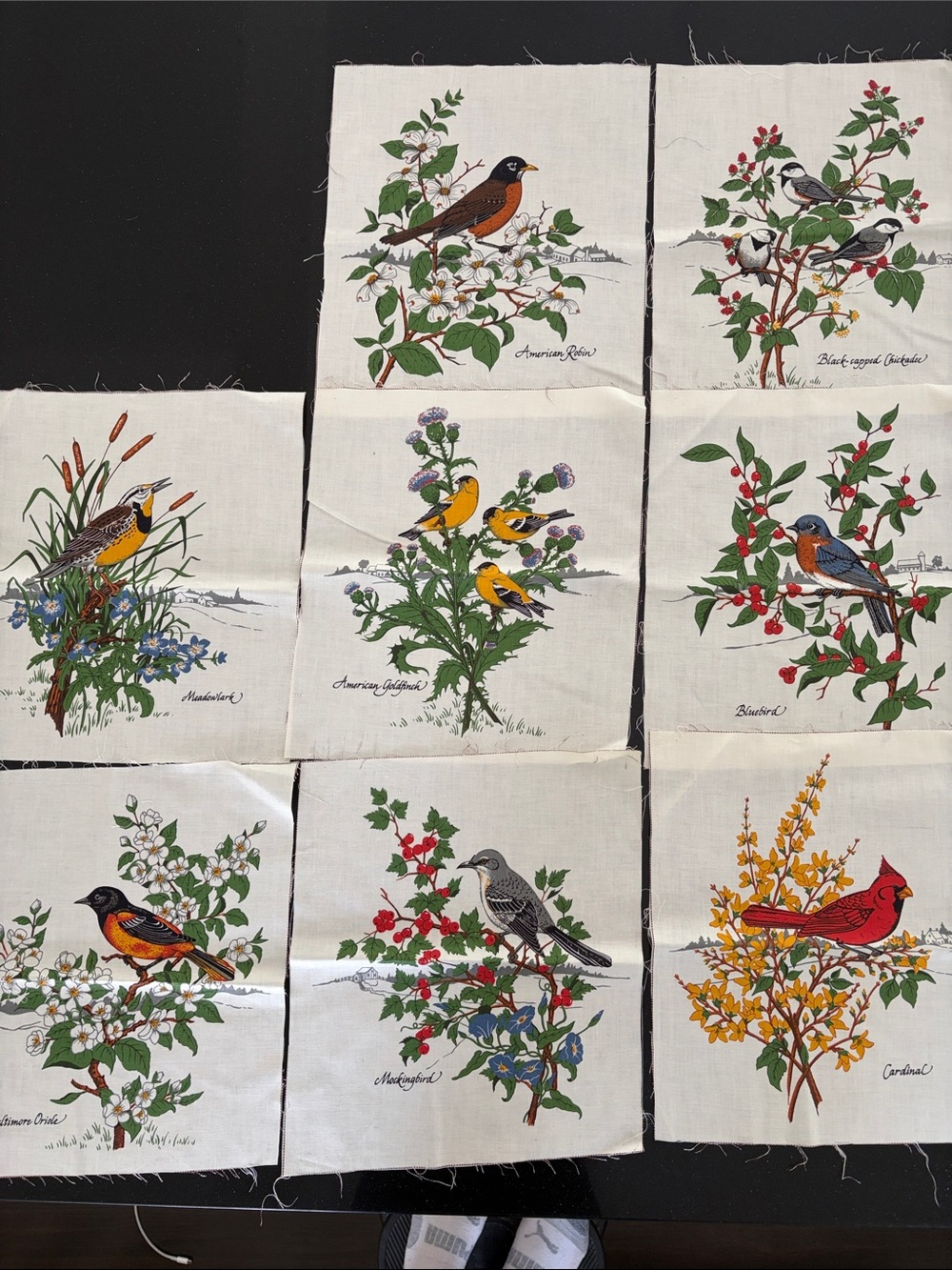 Vintage Bird quilt pieces
